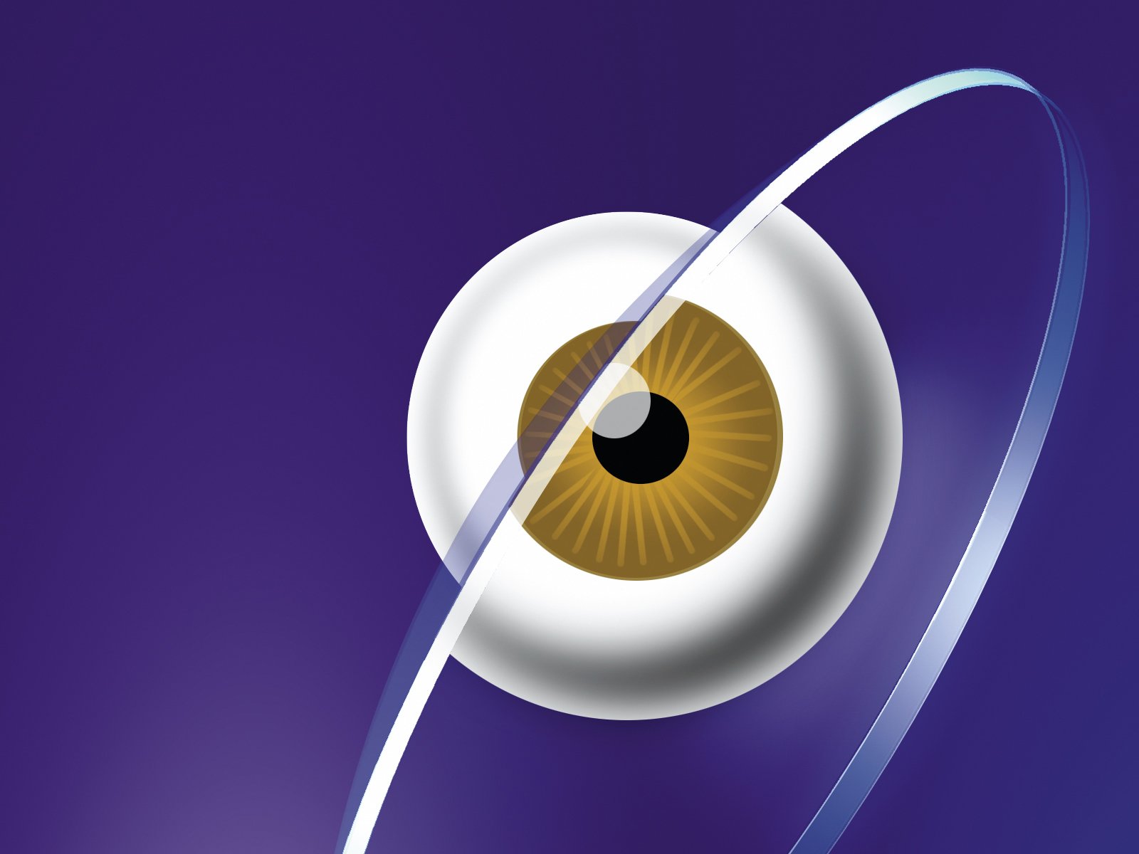 Das menschliche Auge